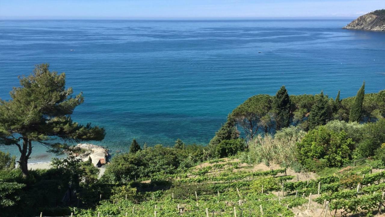 Casa Vacanze Moneglia 2 Camere Con Terrazza Nel Verde Екстер'єр фото